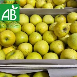 Pomme BIO Gradictive 14kg
