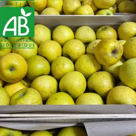 Pomme BIO Gradictive 14kg-