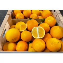 Pomelos Hybride 8kg
