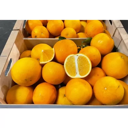 Pomelos Hybride 8kg-