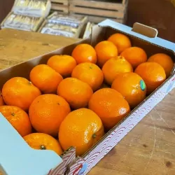 Clémentines Orri 2.5kg