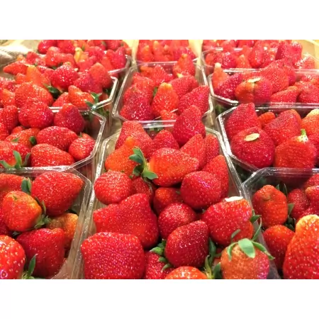 Fraise ronde 500g cat.1-