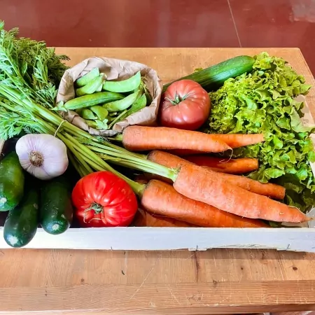 Panier de légumes -