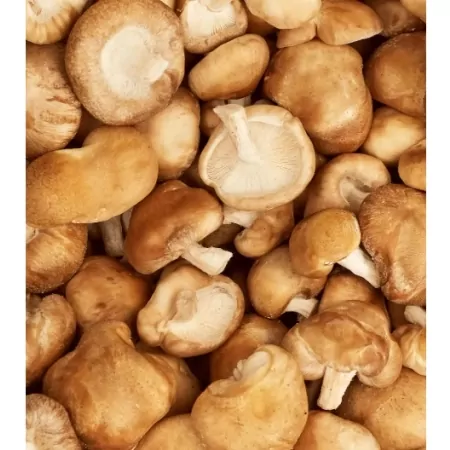 Champignon shiitaké 200g-