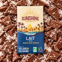 Lait noix de coco 37% 100g