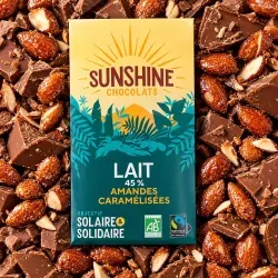 Lait amandes caramélisées 45% 100g