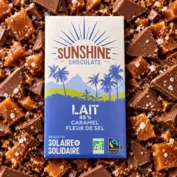 Lait caramel fleur de sel 45% 100g
