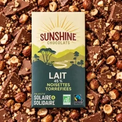 Lait noisettes torréfiées 45% 100g