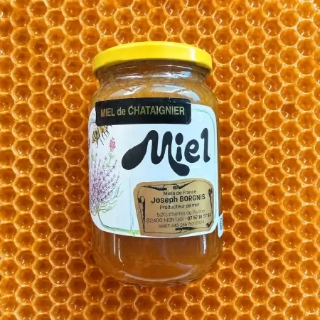 Miel de Châtaignier 500g-