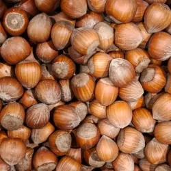 Noisette