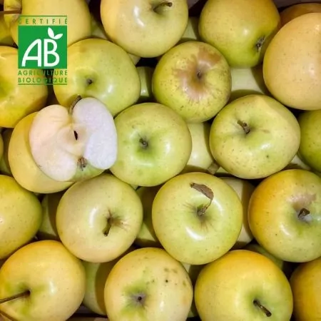 Pomme BIO Anise-