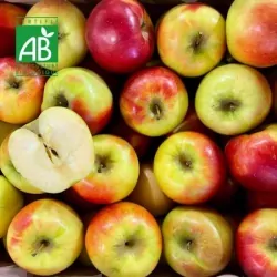 Pomme BIO Pixie