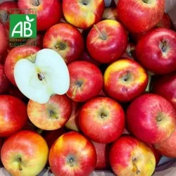 Pomme BIO Galy®