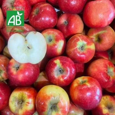 Pomme BIO Crimson®-