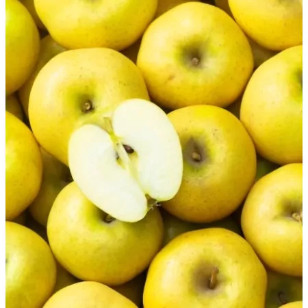 Pomme Chantecler-
