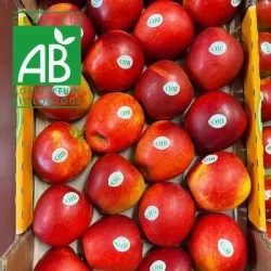 Pommes BIO Galy 4kg/+