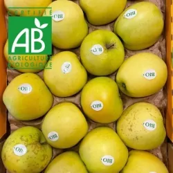 Pomme BIO Anise 4kg/+